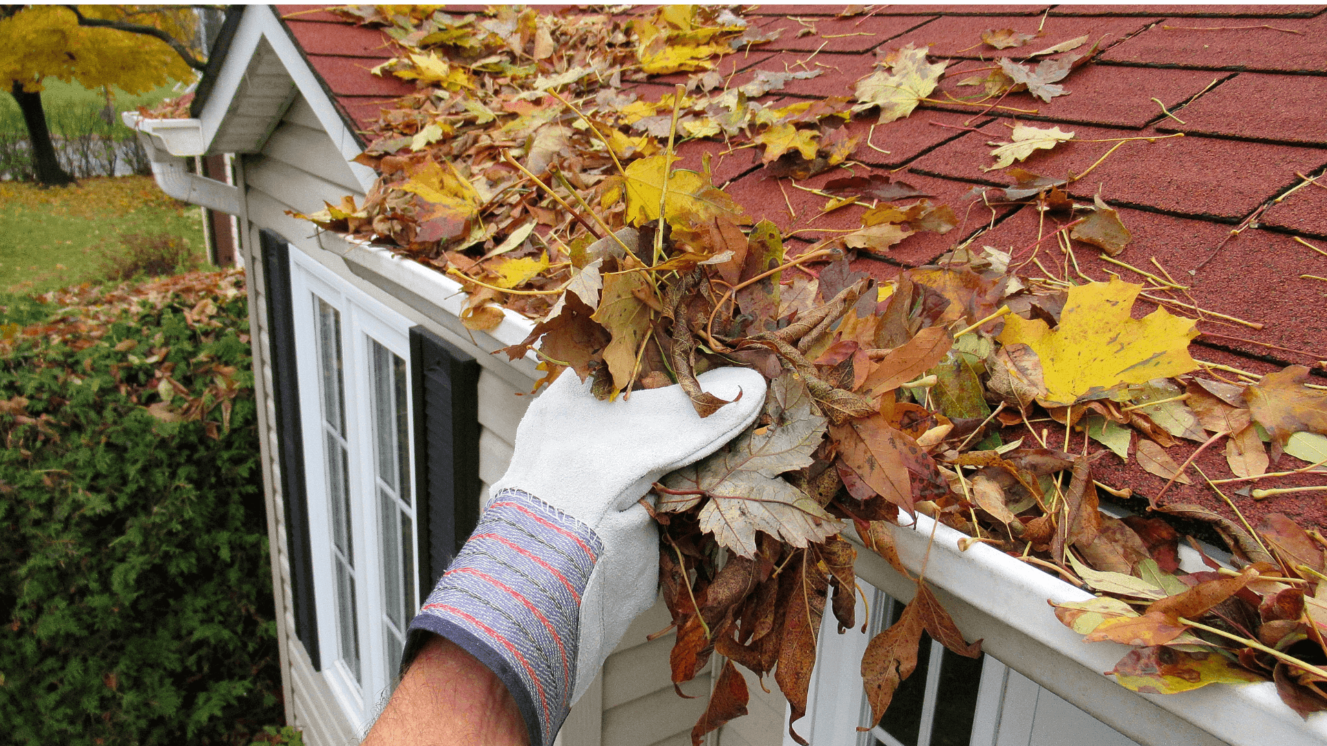 Gutter cleaning